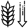 Low Grain