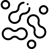 Enzymatic