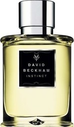 David Beckham Instinct Eau de Toilette 30ml