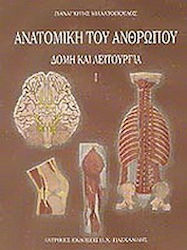 Ανατομία του ανθρώπου