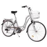 Texas Electric bike