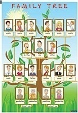 Family Tree