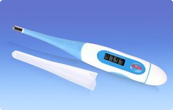 Nuby Digital Thermometer