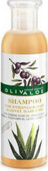 Olivaloe Σαμπουάν Δυναμωτικό 200ml