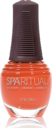 Sparitual I Believe in You