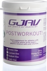 GJAV Postworkout 560gr