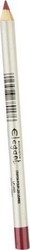 Exclusive Elegant Lip Pencil 17