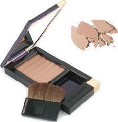 Estee Lauder Tender Blush Toffee