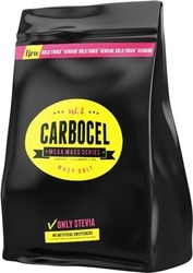 Gold Touch Nutrition Carbocell Mass Gainer 3000gr