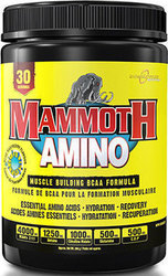 Mammoth Supplements Amino 285gr Fruit Punch