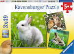 Γλυκά Λαγουδάκια 3x49pcs (08041) Ravensburger