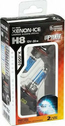 Lampa Lamps Car Xenon Ice H8 Halogen 5000K Cold White 12V 35W 2pcs