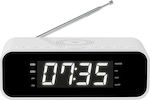 Thomson Radio/Clock with USB Charge CR221I