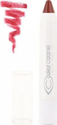 Couleur Caramel Twist & Lips 401 Beige Red