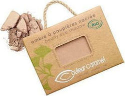 Couleur Caramel Pearly Eye Shadow 104 Borabora