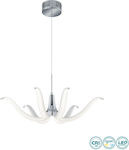 Trio Lighting Ilex R12076906