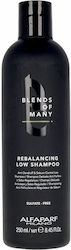 Alfaparf Milano Professional Blends of Many 250ml