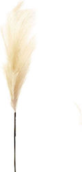 Διακοσμητικό Φτερό Pampas grass Εκρού Marhome