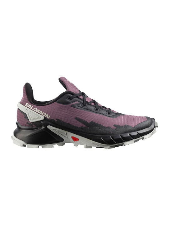 Salomon