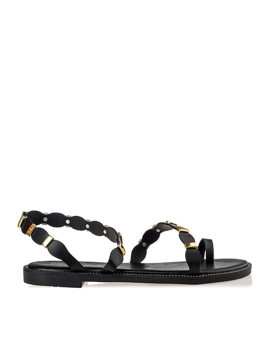 Envie Shoes