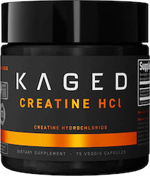 Kaged Muscle Kreatine Hydrochlorid Frucht Punch 76g