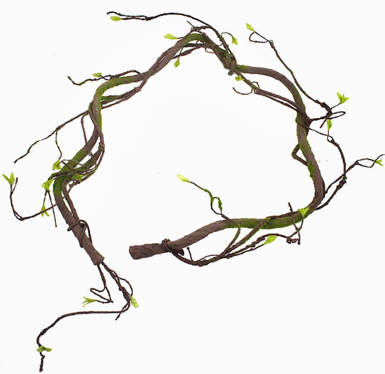 Изсушено Растение Supergreens
