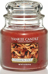 Yankee Candle Signature Aromatisch in Gefäß Zimt