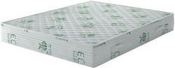 Chic Strom Pure Bio Chic Plus Единичен 100x200x21см