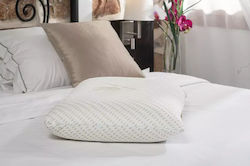 Alpha Foam Repose Aloe Vera Spumă De Memorie Anatomic 40x56x11cm