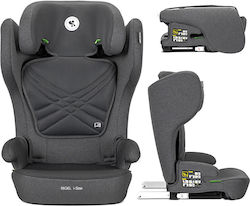 Lorelli Rigel i-Size 15-36 kg with Isofix Grey