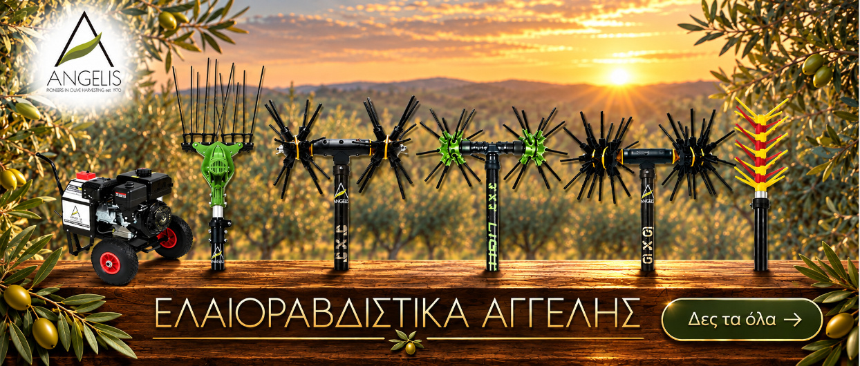 Το νέο σου ελαιοραβδιστικό είναι εδώ!