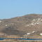 dasimomytis
