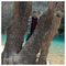 George_Kaza