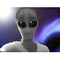 Steve_Bal