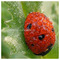 Dimitris_Argyriou43