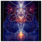 Osm One