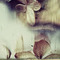 Maria_Skrivanou