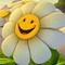 chara_makri