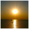 Vasilis__aroutzidis_