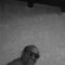 stathis-stathis