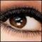 musicEBG7
