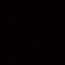 kokkin_7