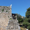 Dora_Roum