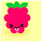 rasp_berry