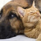 Loukia_THanou