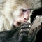 Achilles_Economou