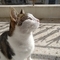 Andreas_Amarg