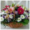 Anna_KARAMPAMPA71