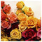 maro_c