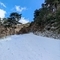 Sotiris@Ts